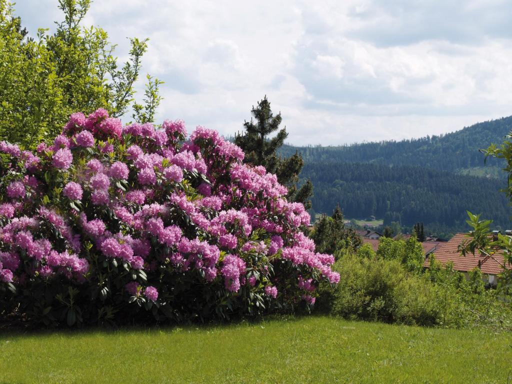Pension Zur Klause Боденмайс Экстерьер фото